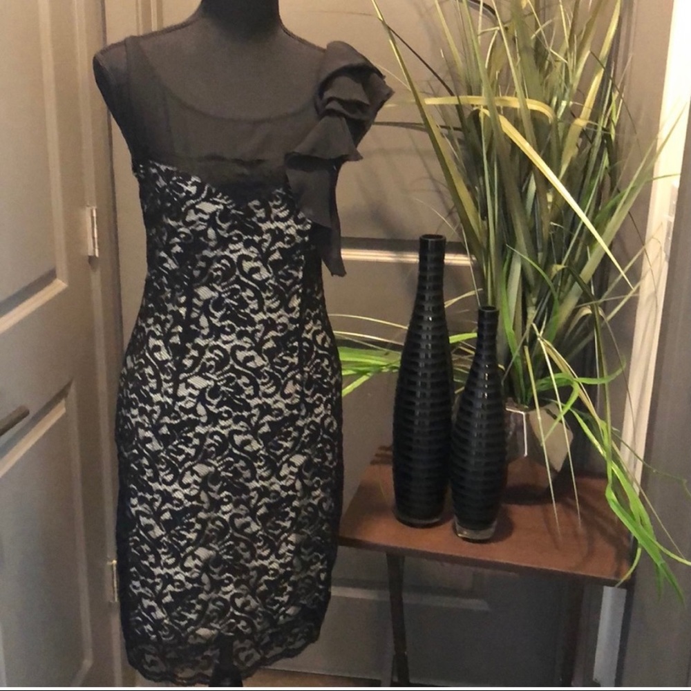 The Limited lace night out sexy dress size S
